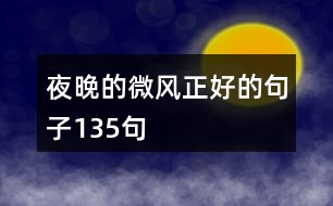 夜晚的微風(fēng)正好的句子135句