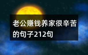 老公賺錢養(yǎng)家很辛苦的句子212句