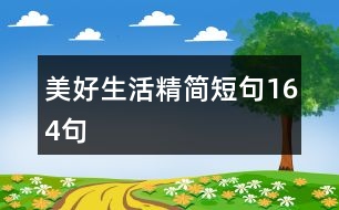 美好生活精簡(jiǎn)短句164句