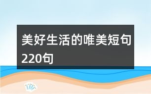 美好生活的唯美短句220句