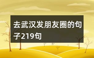 去武漢發(fā)朋友圈的句子219句