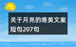 關于月亮的唯美文案短句207句