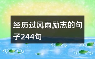 經(jīng)歷過風(fēng)雨勵(lì)志的句子244句