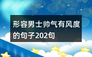 形容男士帥氣有風(fēng)度的句子202句