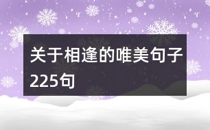 關(guān)于相逢的唯美句子225句