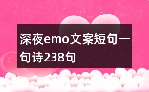 深夜emo文案短句一句詩238句