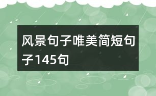 風(fēng)景句子唯美簡短句子145句