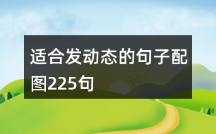 適合發(fā)動(dòng)態(tài)的句子配圖225句