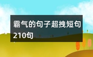 霸氣的句子超拽短句210句