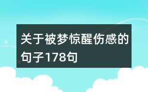 關(guān)于被夢驚醒傷感的句子178句