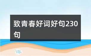 致青春好詞好句230句