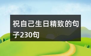 祝自己生日精致的句子230句