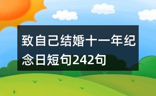 致自己結(jié)婚十一年紀(jì)念日短句242句