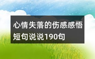 心情失落的傷感感悟短句說(shuō)說(shuō)190句