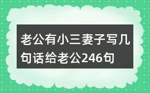 老公有小三妻子寫幾句話給老公246句