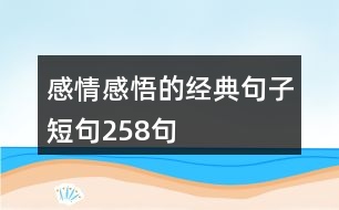 感情感悟的經典句子短句258句