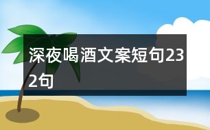 深夜喝酒文案短句232句