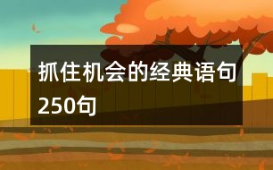 抓住機(jī)會(huì)的經(jīng)典語句250句