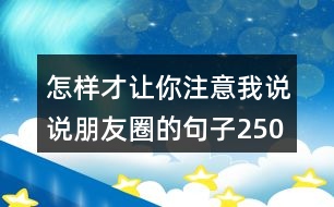 怎樣才讓你注意我說說朋友圈的句子250句