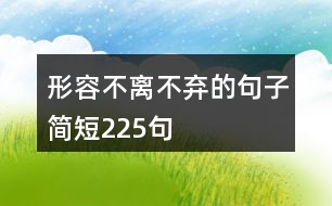 形容不離不棄的句子簡短225句