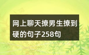 網(wǎng)上聊天撩男生撩到硬的句子258句