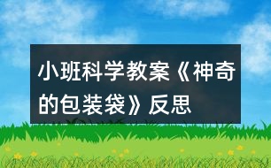 小班科學(xué)教案《神奇的包裝袋》反思