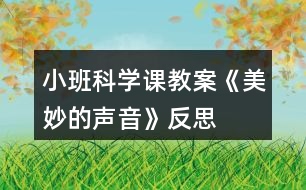 小班科學(xué)課教案《美妙的聲音》反思