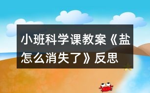 小班科學(xué)課教案《鹽怎么消失了》反思