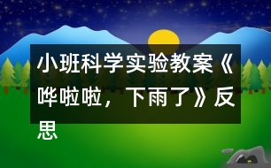 小班科學(xué)實(shí)驗(yàn)教案《嘩啦啦，下雨了》反思