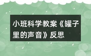 小班科學(xué)教案《罐子里的聲音》反思