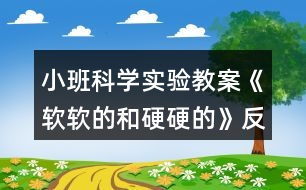 小班科學實驗教案《軟軟的和硬硬的》反思