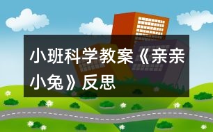 小班科學教案《親親小兔》反思