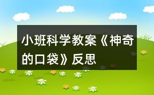 小班科學(xué)教案《神奇的口袋》反思