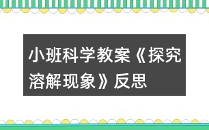 小班科學教案《探究溶解現(xiàn)象》反思