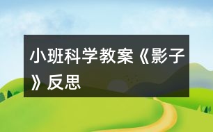 小班科學(xué)教案《影子》反思