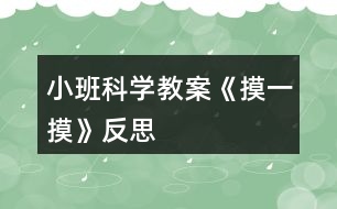 小班科學教案《摸一摸》反思