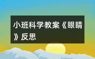 小班科學教案《眼睛》反思