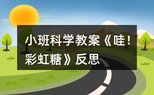 小班科學(xué)教案《哇！彩虹糖》反思