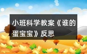 小班科學教案《誰的蛋寶寶》反思