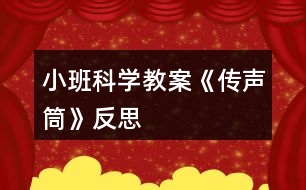 小班科學教案《傳聲筒》反思