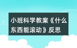 小班科學(xué)教案《什么東西能滾動》反思