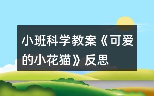 小班科學(xué)教案《可愛的小花貓》反思