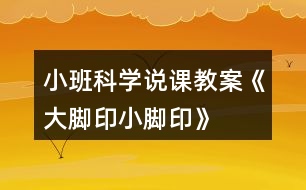 小班科學(xué)說(shuō)課教案《大腳印、小腳印》