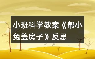 小班科學教案《幫小兔蓋房子》反思