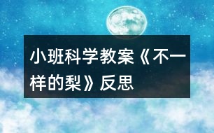 小班科學(xué)教案《不一樣的梨》反思