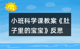 小班科學課教案《肚子里的寶寶》反思