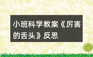 小班科學教案《厲害的舌頭》反思