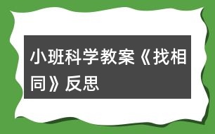 小班科學(xué)教案《找相同》反思