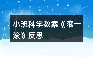 小班科學教案《滾一滾》反思