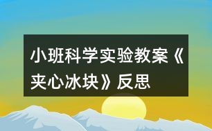 小班科學(xué)實驗教案《夾心冰塊》反思